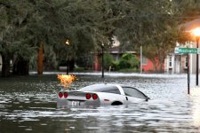 Wet Corvette.jpg